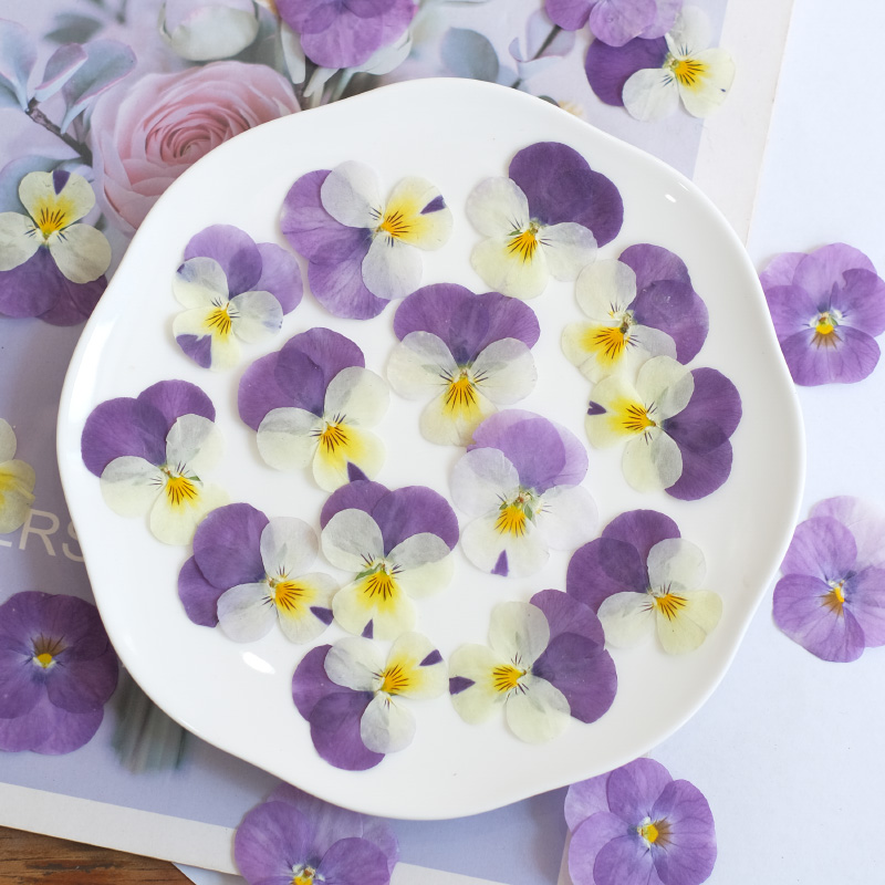 12pçs, natureza amor-perfeito  - Beauty Makeup Bridal avaliação e preço